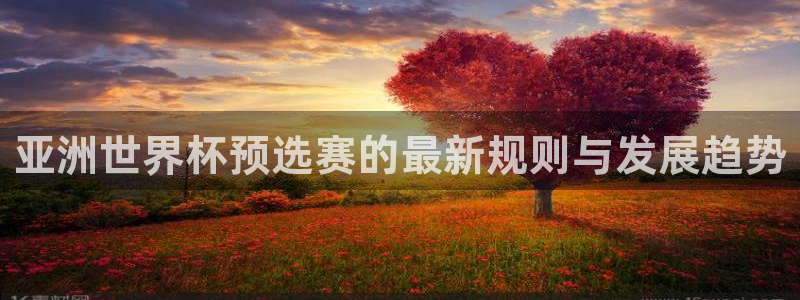 欧洲区世界杯预选赛:亚洲世界杯预选赛的最新规则与发展趋势