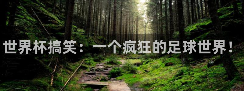 2026世界杯官网入口:世界杯搞笑:一个疯狂的足球世界!