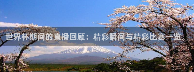 世界杯对阵表:世界杯期间的直播回顾:精彩瞬间与精彩比赛一览。