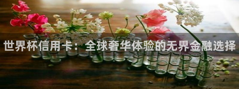 2026足球世界杯:世界杯信用卡:全球奢华体验的无界金融选择