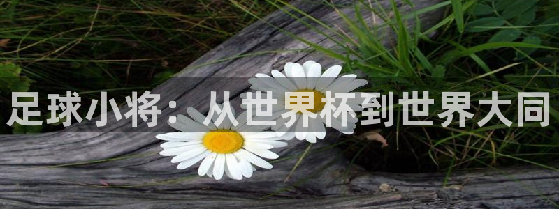 今天所有足球赛程表:足球小将:从世界杯到世界大同