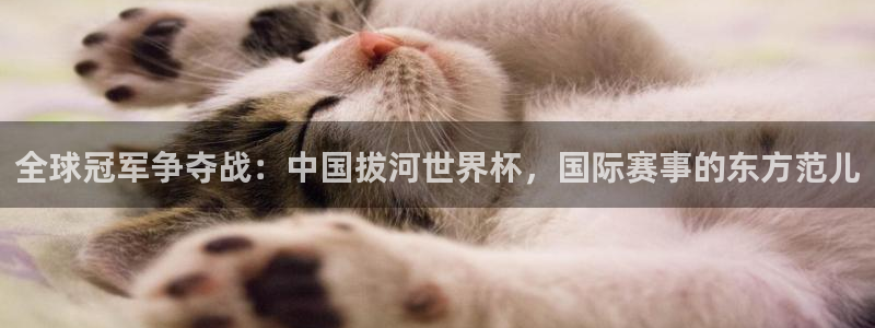 世界杯在线直播入口:全球冠军争夺战:中国拔河世界杯,国际赛事的东方范儿