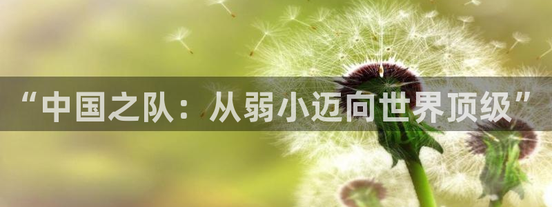世界杯欧洲区赛程:“中国之队:从弱小迈向世界顶级”